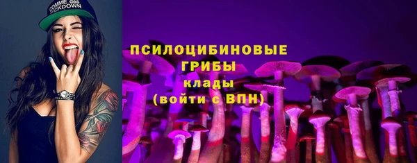 прущие крисы Алексин