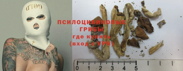 прущие крисы Алексин