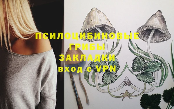 прущие крисы Алексин