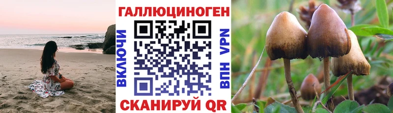 Галлюциногенные грибы Magic Shrooms  Владивосток 