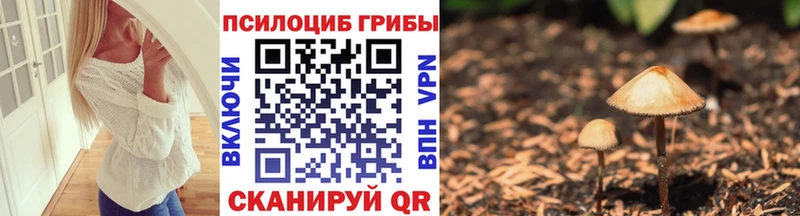 Псилоцибиновые грибы ЛСД Владивосток